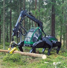 蜘蛛重機　森をあるく